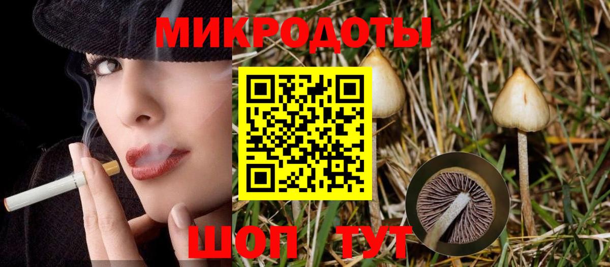 Псилоцибиновые грибы мицелий  Вход с VPN  Тула 
